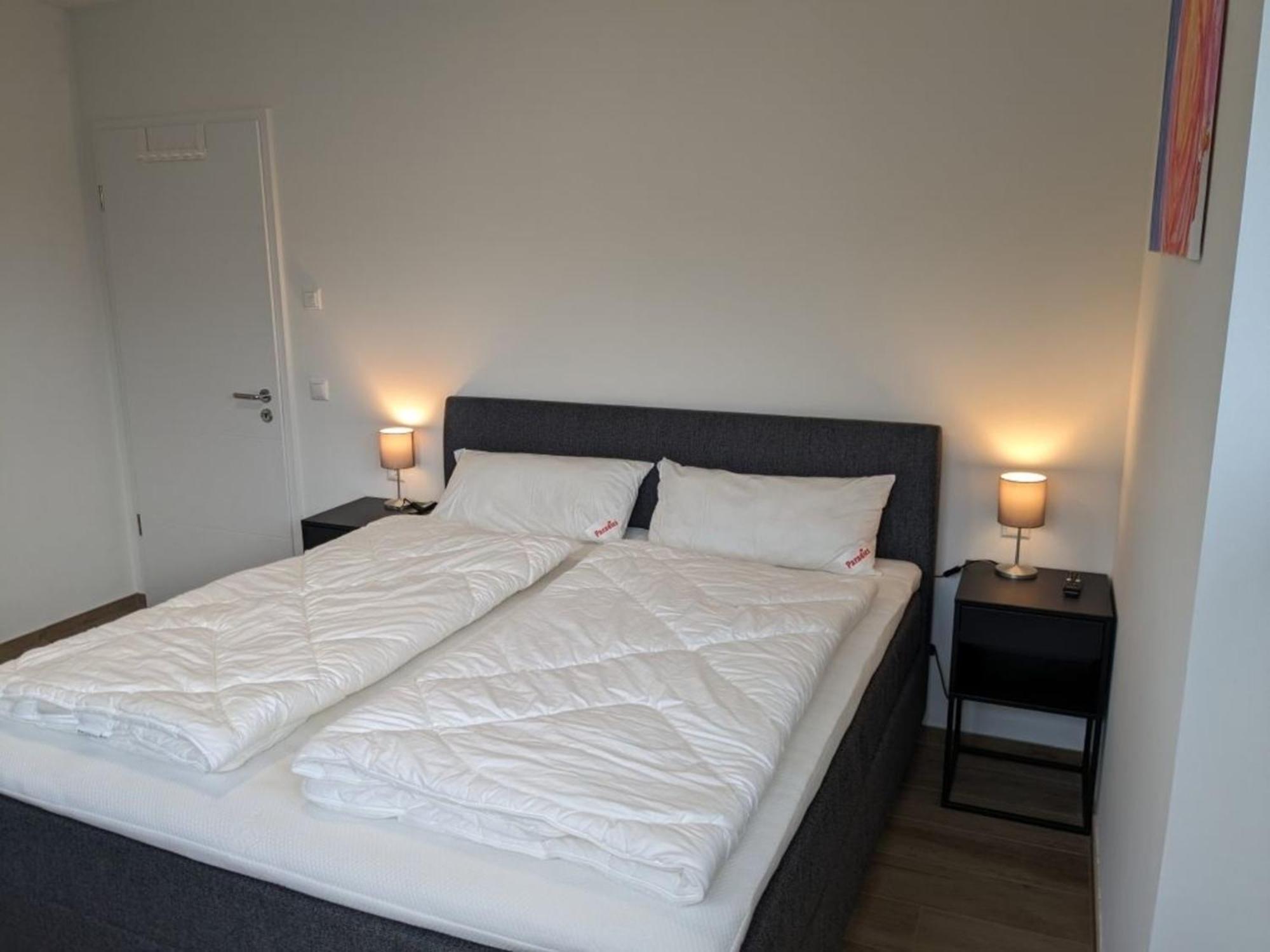 Haus Albatros Og - Exklusive Fewo Fuer 4 Personen 丹加斯特 外观 照片